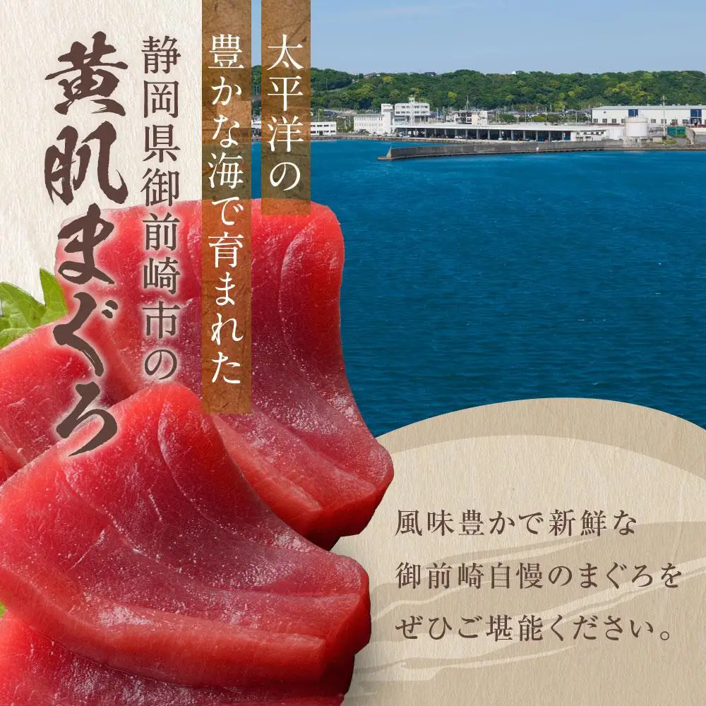 マグロ 天然 黄肌 切り落とし 1kg 500g×2パック マグロ