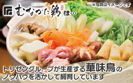宗像産ブランド鶏【むなかた鶏】ムネ肉6kg（平飼い）【JAほたるの里】_HA1418