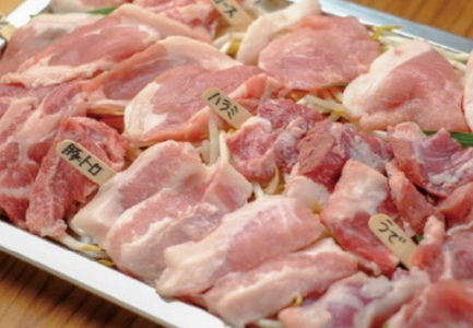国産 豚肉 力豚 特選精肉セット 8種×100g 合計800g ブランド豚 冷凍 高知県産
