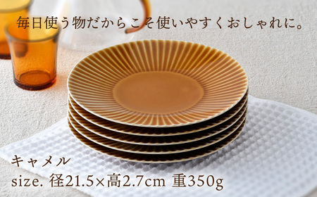 【波佐見焼】しのぎ 大皿5枚セット(キャメル) 食器 プレート【一龍陶苑】[CC77] 波佐見焼