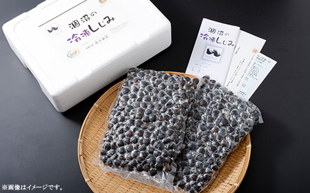 375 しじみ 約2kg 冷凍 小分け 約1kg × 2袋 規格 涸沼の大和しじみ