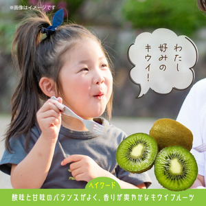 未追熟 キウイフルーツ 36玉（約3.6kg） _2302R