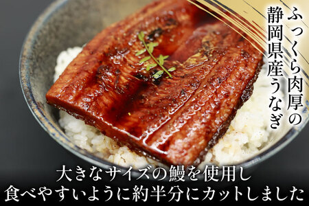 うなぎ 国産 静岡 うなぎ蒲焼 ハーフカット 100g ×6 計600g [静岡鰻販売 静岡県 吉田町 22424172]