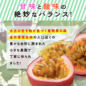 【 2026年 先行予約 】【 農家直送 】 奄美大島産 パッションフルーツ 贈答用 1kg（秀品12個入り） A092-004 果物 フルーツ 果実 南国フルーツ 先行受付 事前受付 事前予約 予約 受付 kashiwa farm ふるさと納税 奄美市 おすすめ ランキング プレゼント ギフト