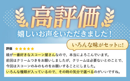 リッチハニースコーン アソート 10個 多治見市/famfam 焼菓子 スコーン [TAK010]