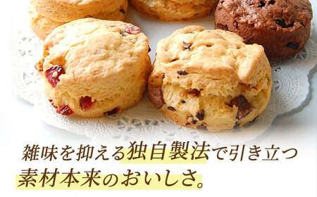 【6回定期便】リッチハニースコーン アソート 10個 多治見市/famfam 焼き菓子  詰め合わせ [TAK012]