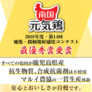 isa491 南国元気鶏ムネ肉(計10kg・500g×20P) 鶏肉 小分け むね肉 胸肉 鹿児島 国産 九州産 冷凍 サラダチキン 蒸し鶏 唐揚げ とり天 【マルイ食品】