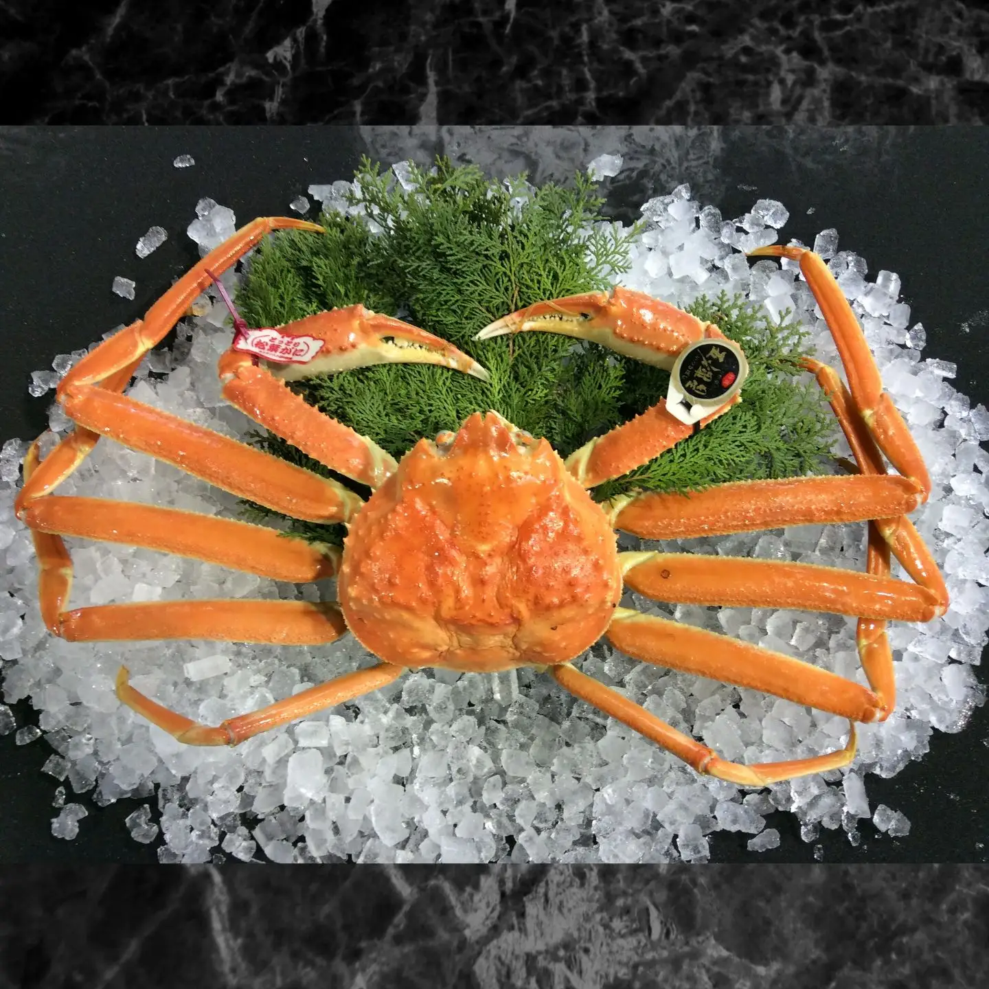 【'26先行予約】五輝星ボイル松葉ガニ（特々大1.2kg）数量限定品 【魚倉】[166-2]