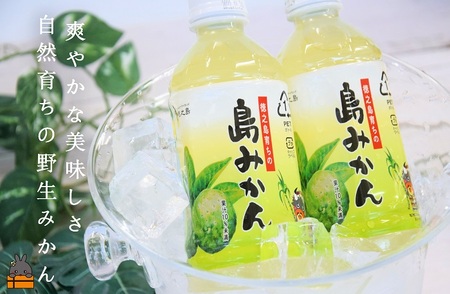 ～爽やかな柑橘ドリンク！～徳之島の島みかん350ml×48本 (ドリンク 果物 フルーツ シークニン 徳之島 奄美 鹿児島 美農里館 さわやか 酸味 美味しい )