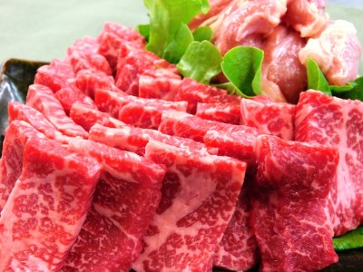 バーベキューセット 伊万里牛 モモ 鶏肉 約800g 002-J340