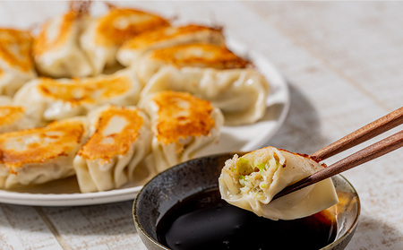 手包み！　アグー豚ぎょうざ　餃三郎　６０個