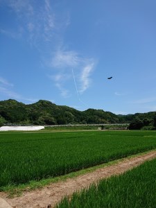 佐賀県産さがびより10kg 034-B147