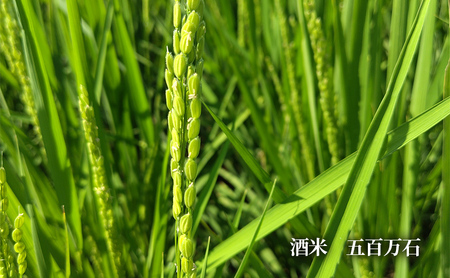 【ふるさと納税】 蔵元直送 うめ～ぇさんだ ほのかな梅の香 ( 900ml ) 贈答品 中元 歳暮 お中元 お歳暮 新年 年末 贈り物 ギフト 日本酒 お酒 酒 さけ サケ 人気 おすすめ 送料無料 兵庫県 三田市 [3d28bae350003]