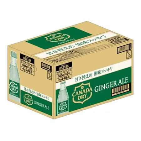 カナダドライジンジャーエール 500mlPET×24本_飲料・ドリンク 炭酸飲料 ジュース _【1456816】