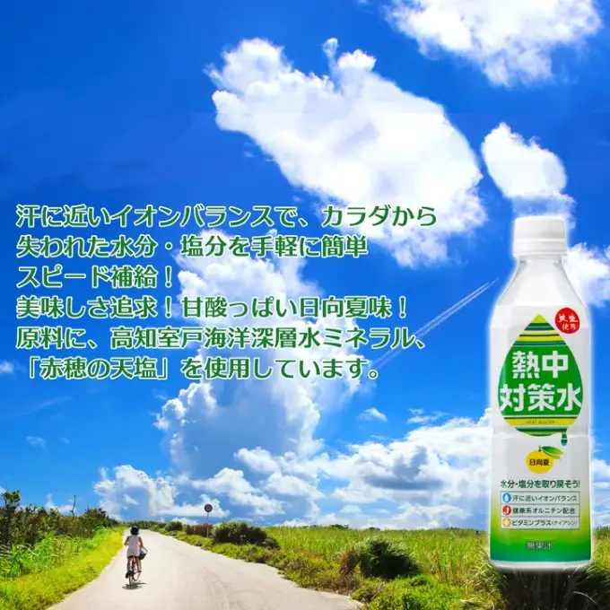 室戸海洋深層水１００％の国産塩！「天海（あまみ）の平釜塩」４００ｇ×１２袋セット  しお 塩 調味料 海 天然