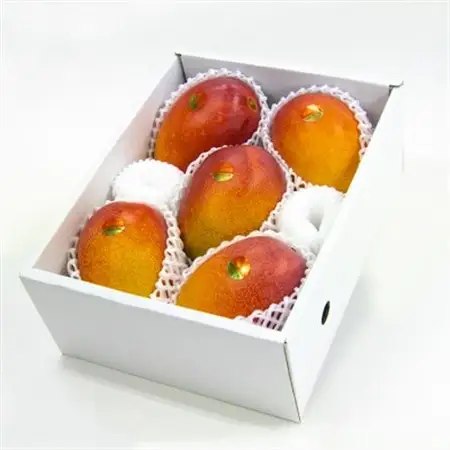 【先行受付・2026年6月から順次発送】山城フルーツ園のアーウィンマンゴーご家庭向け優品2kg【配送不可地域：離島】【1439549】