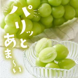 【2026年産】ぶどうシャインマスカット秀品 化粧箱入2房 ぶどう