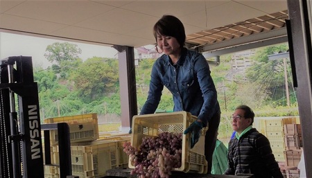 赤+白【本格的樽熟成赤ワインと自家栽培樹齢60年の甲州白ワイン】12本セット（MRF）G76-830