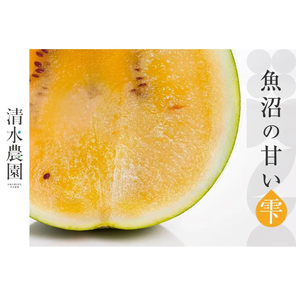 2026年7月下旬から発送予定　野菜ソムリエサミット金賞受賞　「清水農園の八色産金色羅皇」（１玉）