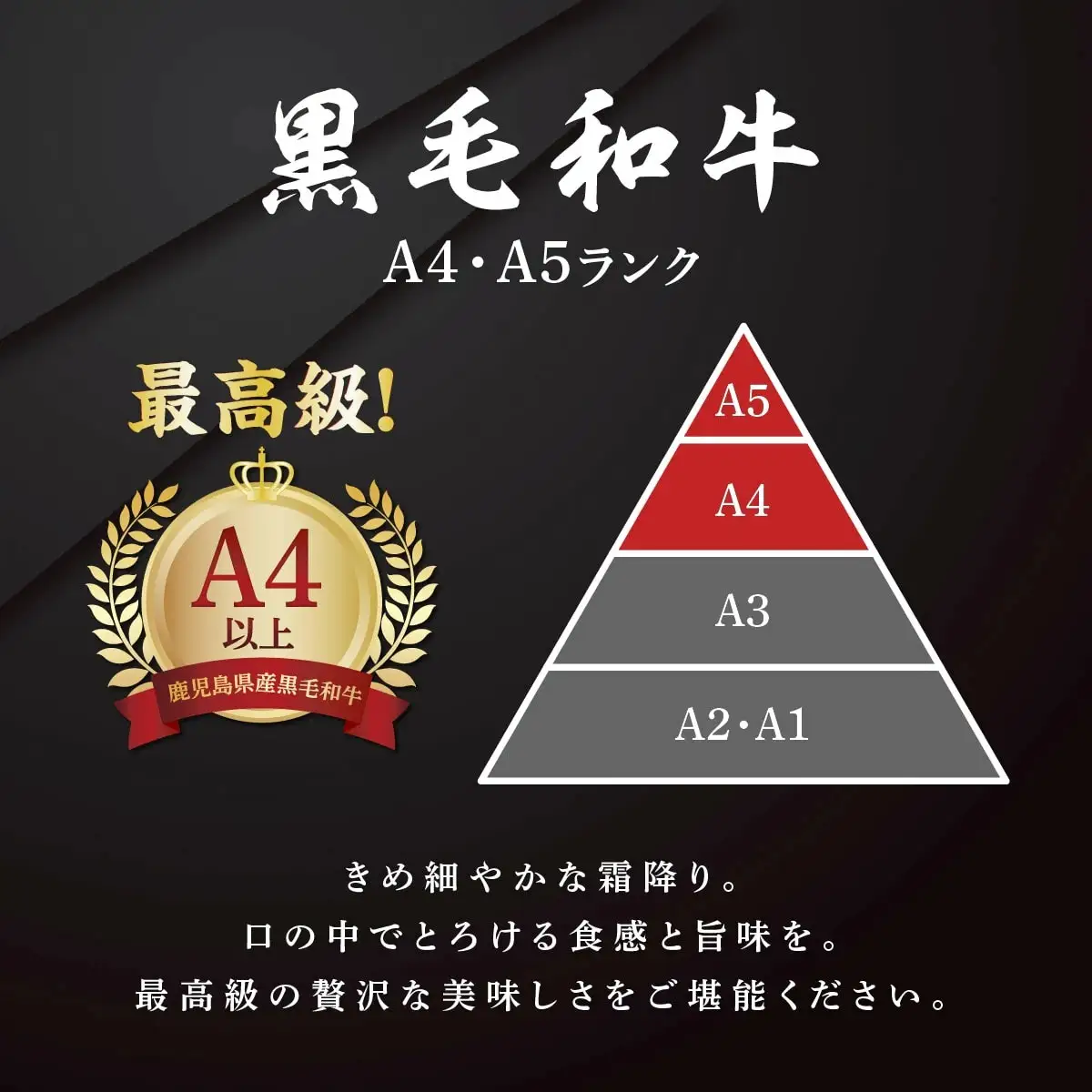 【数量限定】九州産黒毛和牛ロースステーキ食べ比べセット