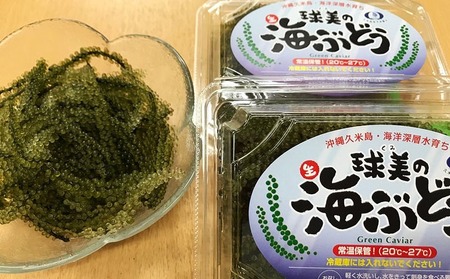 海ぶどう 球美の”生”海ぶどう（100g×3個）