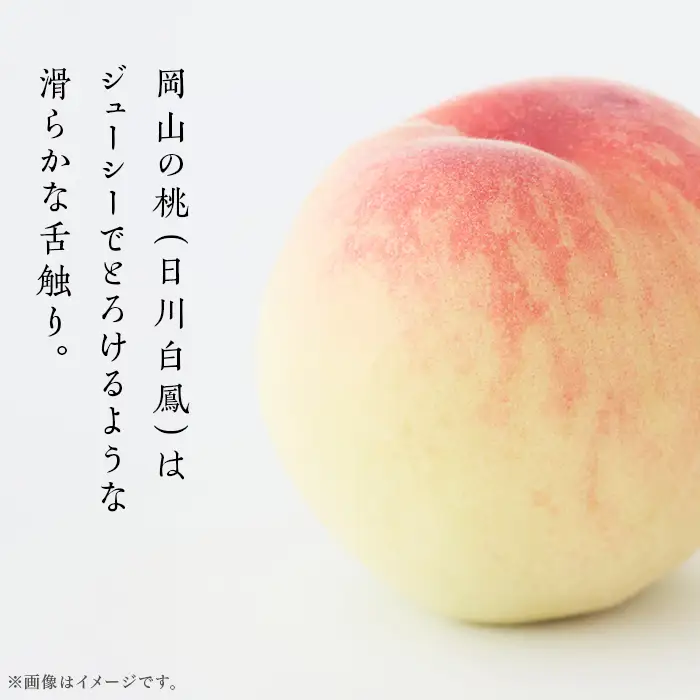 【ご家庭用】岡山の桃 日川白鳳 5～7玉【2026年6月下旬頃から順次発送】