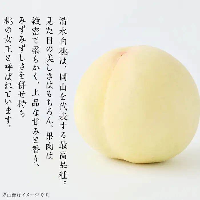 【ご家庭用】岡山白桃 清水白桃 5～7玉【2026年7月中旬頃から順次発送】
