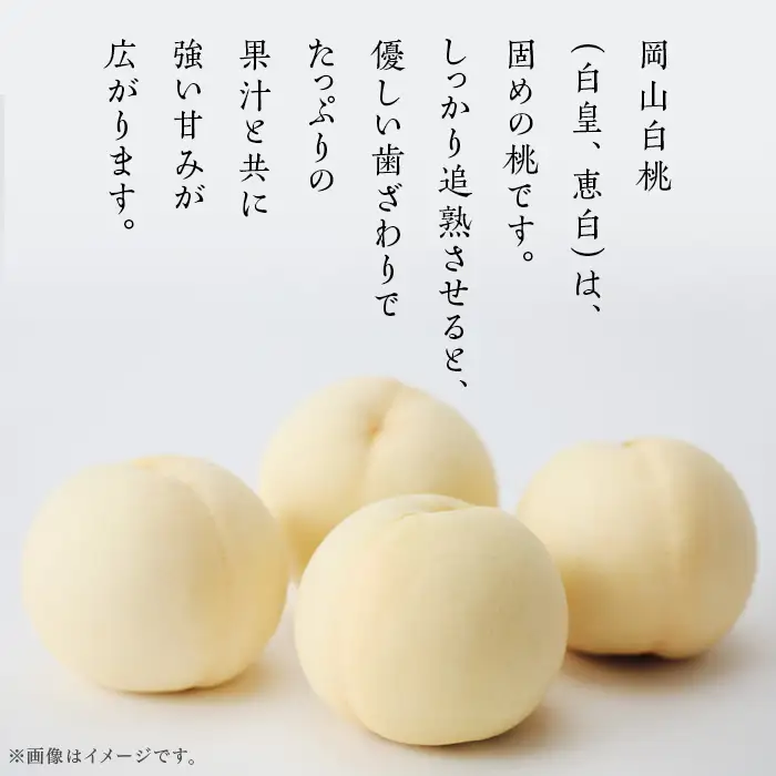 【ご家庭用】岡山白桃「白皇もしくは恵白」5～7玉【2026年8月中旬頃から順次発送】