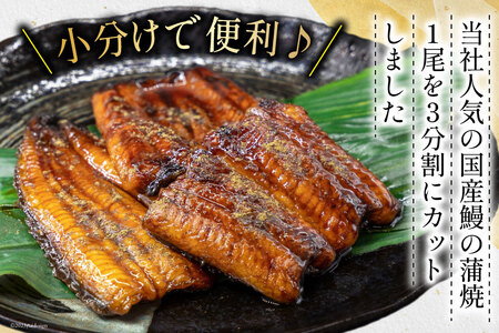うなぎ 国産 蒲焼 カット小 約65g ×6p 冷凍 真空パック [駿河淡水 静岡県 吉田町 22424171]