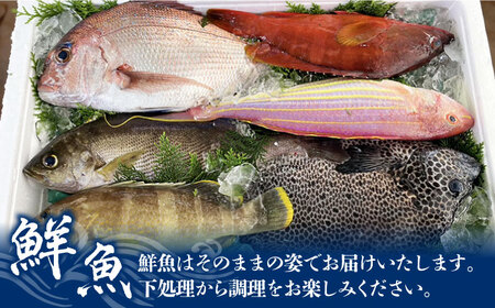 【五島列島直送】五島の海の幸セット 五島市 / 鯛福丸水産[PDP009]  魚 鮮魚 セット 海鮮 直送 さかな 詰合せ 冷蔵 定期