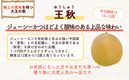数量限定 王秋 5kg 【倉吉産】（倉吉観光梨園） 梨 果物 フルーツ