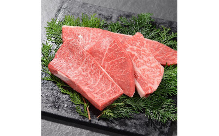 鳥取和牛ヒレ＆希少部位ステーキセット（計約600g）牛肉 ステーキ ヒレ肉