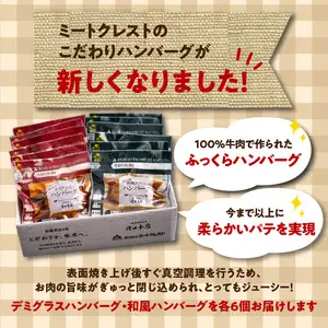 デミグラスハンバーグ・和風おろしハンバーグセット各160g×6個 A05071
