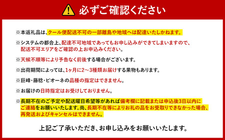 【先行受付】【6回定期便】 フルーツ王国 山梨県産 6種セット ／ えべし フルーツ 果物 くだもの 貴陽 すもも もも 桃 梨 なし ぶどう ブドウ 葡萄 シャインマスカット キウイ 新鮮 果実 産地直送 山梨県 中央市 【2026年6月中旬-2027年1月下旬発送予定】