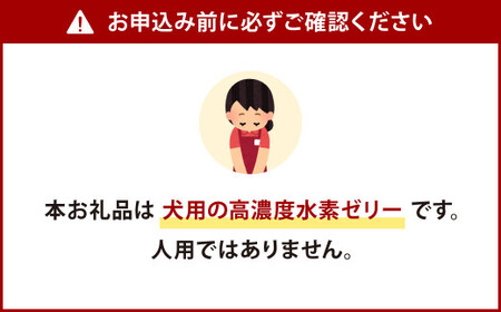 【3ヶ月定期便】 高濃度 水素ゼリー 犬用 31本入り × 3回 (1本5g) 水素 ゼリー ごはん おやつ 犬 愛犬 健康食品 サプリ ヨーグルト風味 持ち運び 携帯 ペット