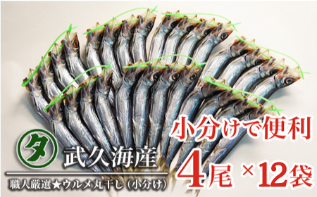 職人厳選 ウルメ丸干し小分け（4尾×12袋）鰯 いわし おつまみ 珍味 グルメ 魚 海鮮 ギフト 酒 ビール 日本酒 焼酎 贈り物 国産 愛媛 愛南町 武久海産