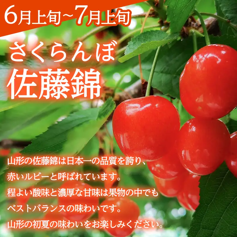 【定期便3回】みのりの山形～佐藤錦を味わう食べつくし定期便～くだもの 果物 フルーツ 山形 山形県 山形市 FY23-908