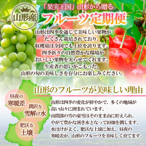【定期便5回】やまがた浪漫B [さくらんぼ・デラウェアとブルーベリー・白桃と和梨・シャインマスカットと柿・サンふじとラ・フランス] FZ24-929