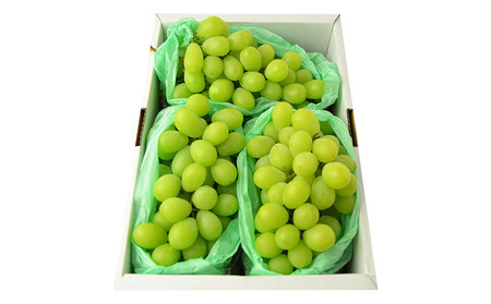 [ハウス栽培]山形のシャインマスカット 秀品 約2kg(2～5房)【令和8年産先行予約】FS24-640 くだもの 果物 フルーツ 山形 山形県 山形市 2026年産