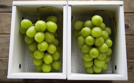 おすそ分けにおすすめ！シャインマスカット 秀品 約1.2kg(約600g以上1房×2箱) 【令和8年産先行予約】FS23-766 くだもの 果物 フルーツ 山形 山形県 山形市 2026年産