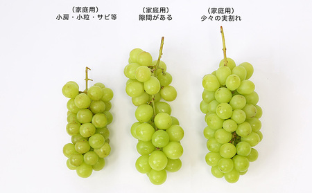 [訳あり]やまがたのぶどう シャインマスカット 9月 優品 約1kg(1～3房程度) 【令和8年産先行予約】FS23-818 くだもの 果物 フルーツ 山形 山形県 山形市 2026年産