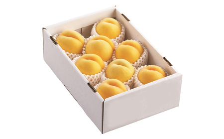 ☆フルーツ王国山形☆黄桃秀品 3kg [やわらかくなる桃]【令和8年産先行予約】FS23-828 くだもの 果物 フルーツ 山形 山形県 山形市 2026年産