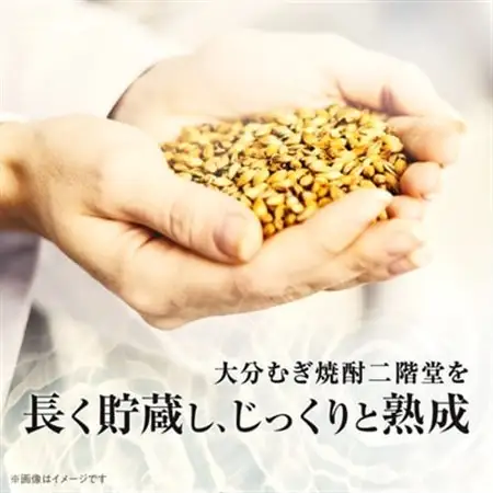 大分むぎ焼酎　二階堂吉四六瓶25度(720ml)4本セット_酒・アルコール 麦焼酎 焼酎 _【1455682】