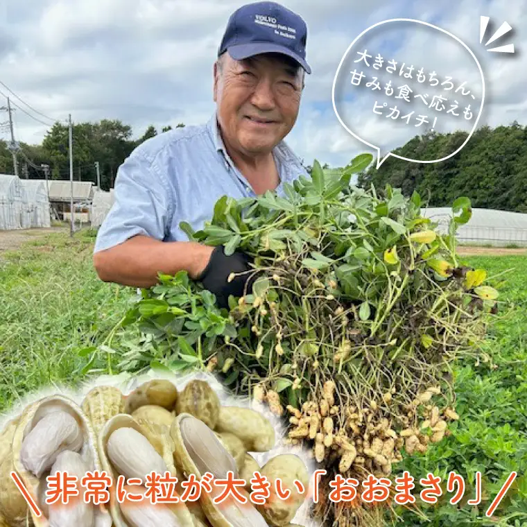 【期間限定】テレビでも紹介されました！道の駅でも人気！【モーツァルトを聞かせた干し芋】★秋の味覚セット★ 紅はるか平干し500g＆ゆで落花生（訳あり）500g（AY-9）