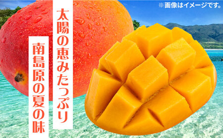 【2026年7月-発送】南島原産完熟マンゴー２玉 / 南島原市 / ながいけ [SCH064]