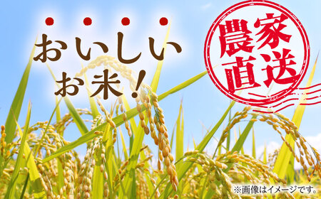 〈令和7年度産米〉ヒノヒカリ 白米 10kg （5kg×2袋）【竹下農園】[ZEL001]