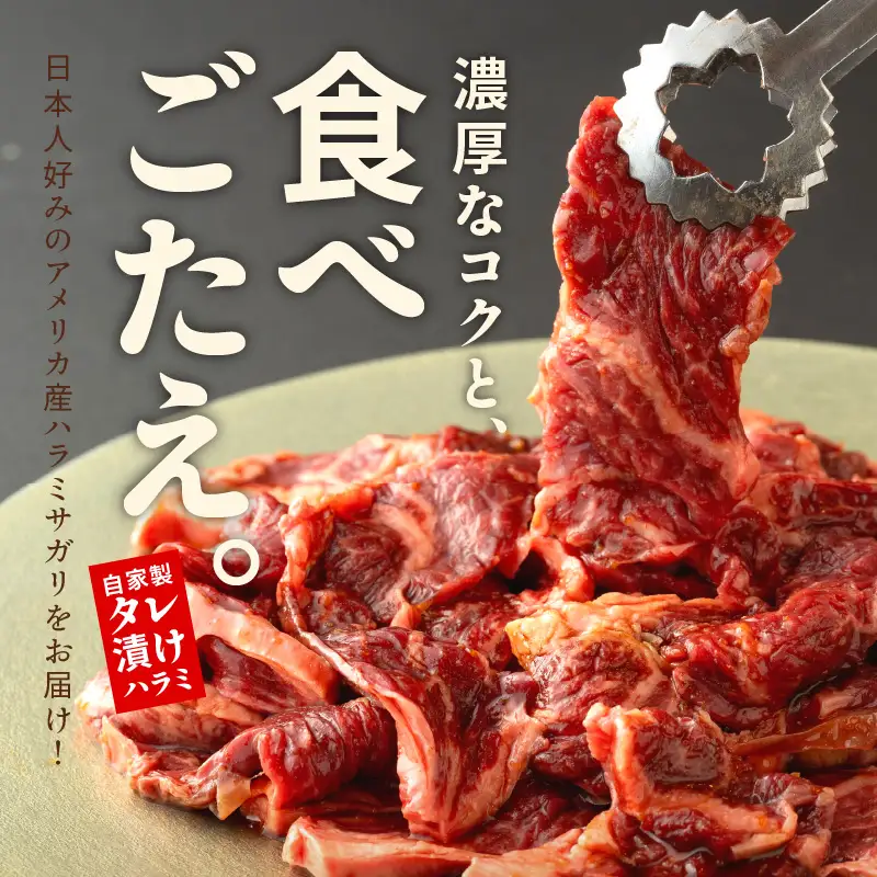 焼き肉専門店 自家製タレ漬け ハラミ 合計500g（250g×2）