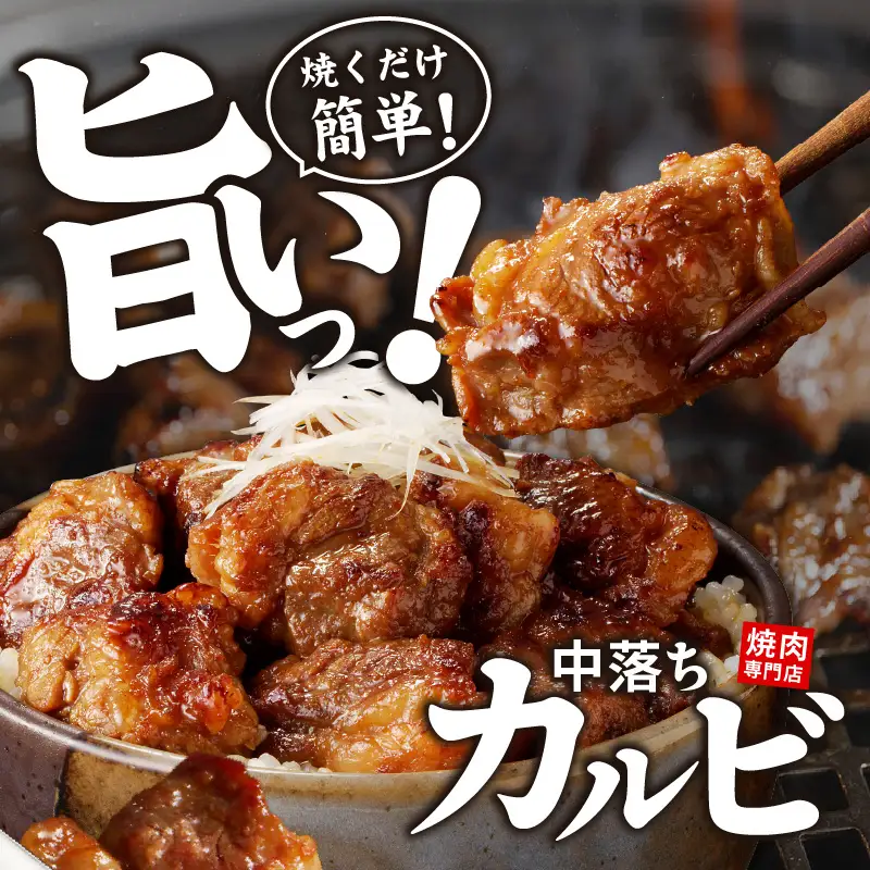 焼き肉専門店 自家製タレ漬け 中落ちカルビ 合計500g（250g×2）