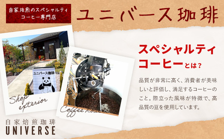 コーヒー豆セット セットC 挽き粉 モカ スペシャルブレンド ブラジル (各100g) ユニバース珈琲 《30日以内に出荷予定(土日祝除く)》 コーヒー 豆 セット 飲み比べ【配送不可地域あり】