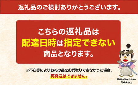【4回お届け（10月・11月・4月・5月）】 北海道 厚岸産 砂抜き済み あさり 1.5kg【光輝】 [ 海産物 海の幸 味が濃い 貝類 貝 みそ汁 酒蒸し アサリバター 食材 食べ物 パスタ ] 